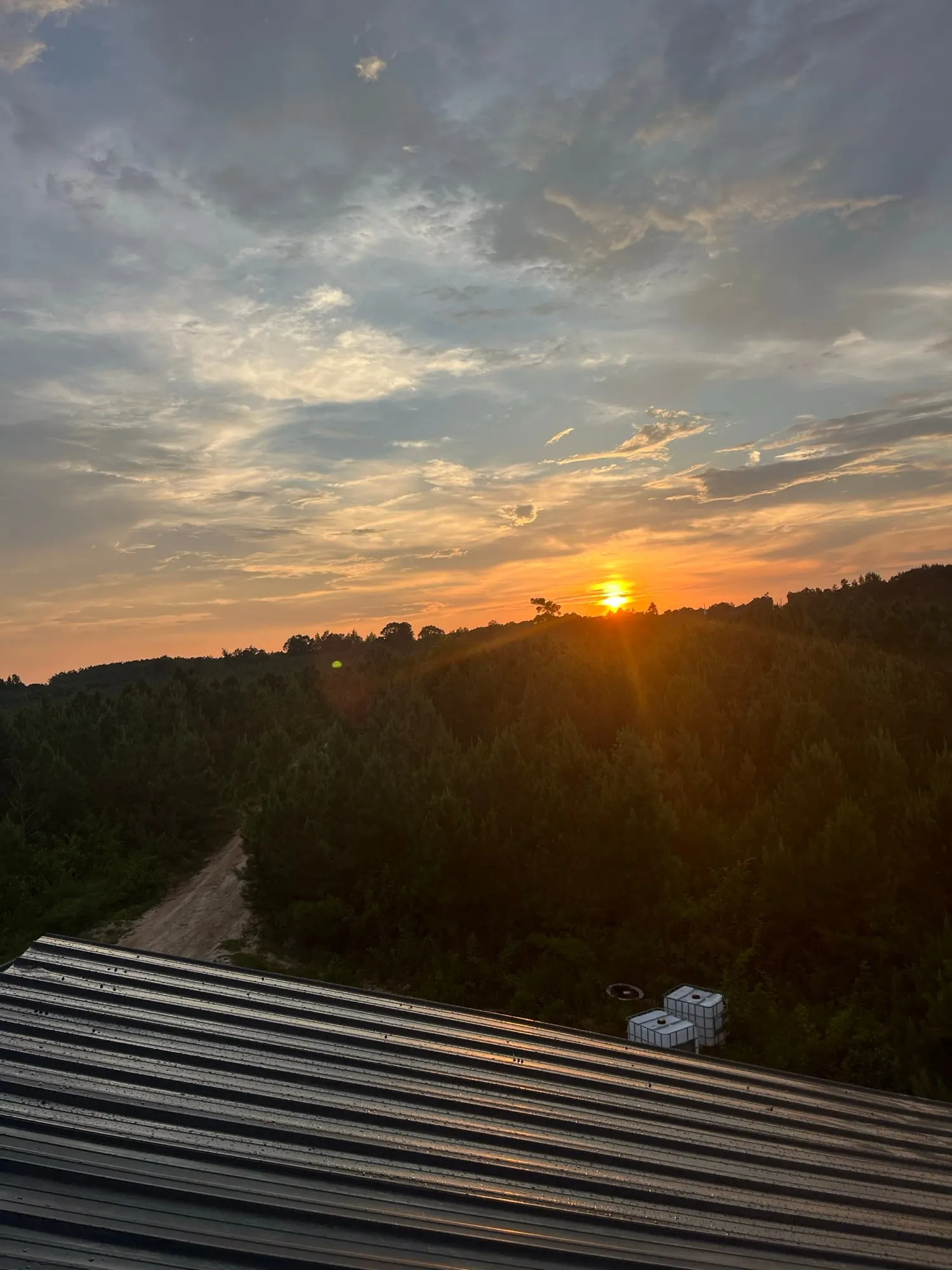 Sunset over the treeline at Guardians Grove, seen from a metal rooftop
