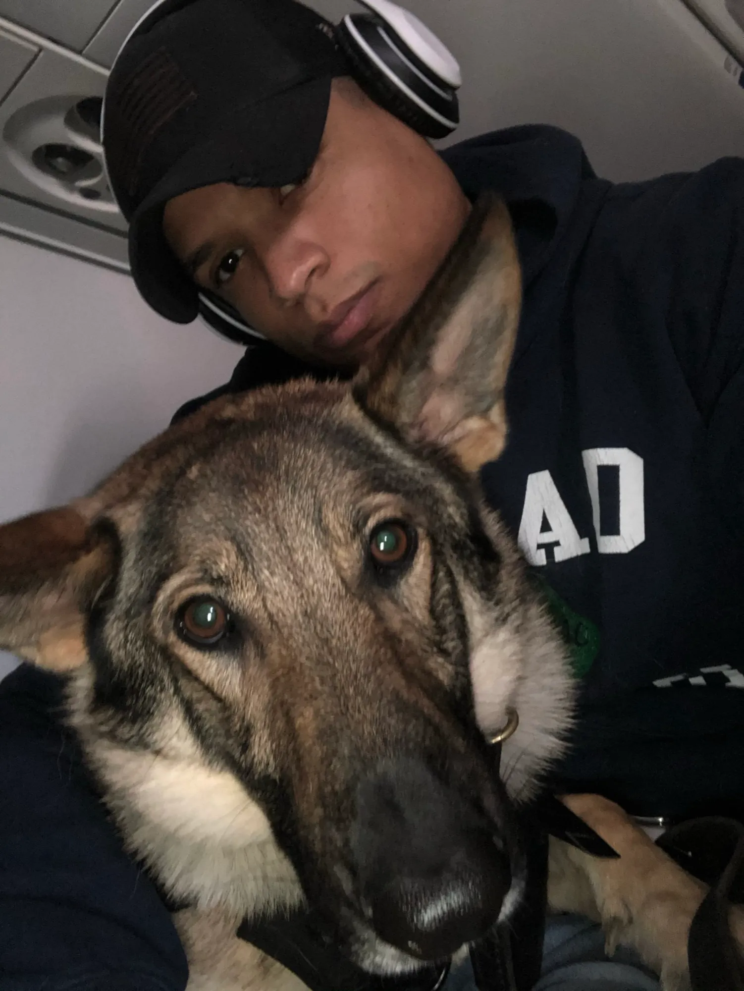 A German shepherd leaning its head against Josh