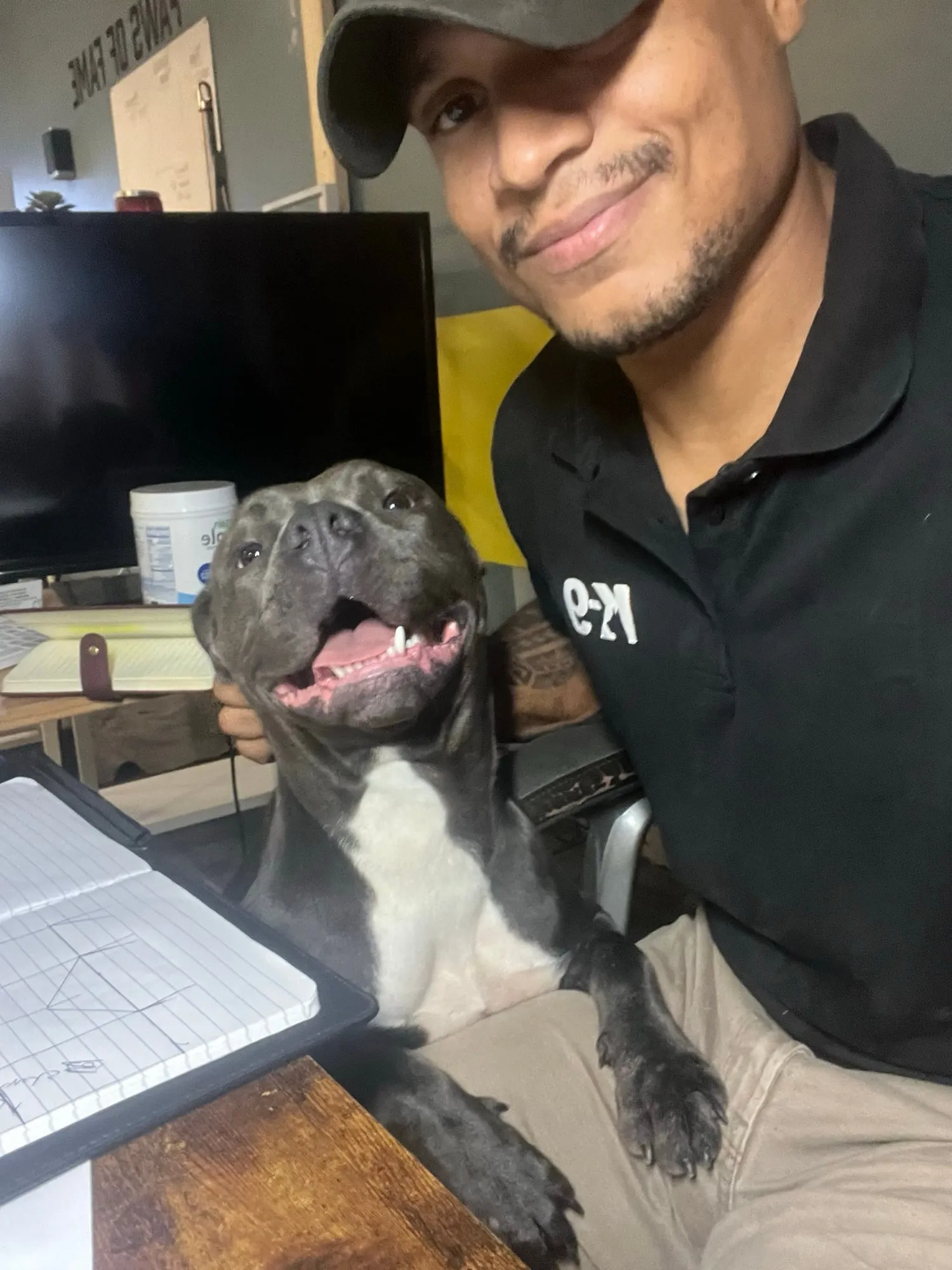 A grinning gray pit bull leaning in next to Josh at his desk