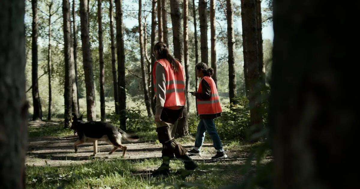 Person walking through forest
