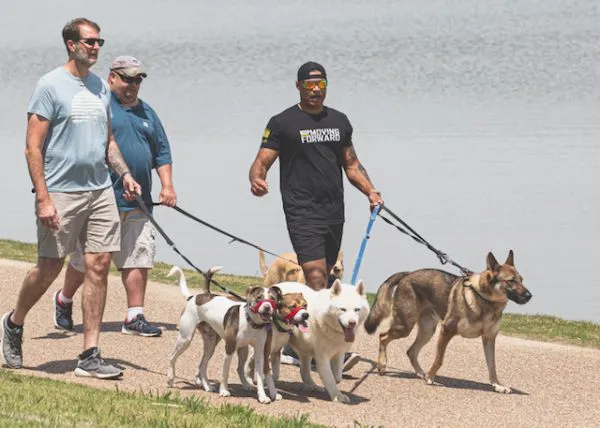 Service dog training